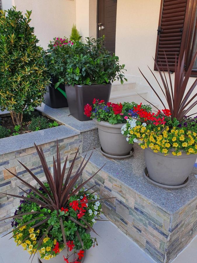 Holiday Home Barska Vila Εξωτερικό φωτογραφία